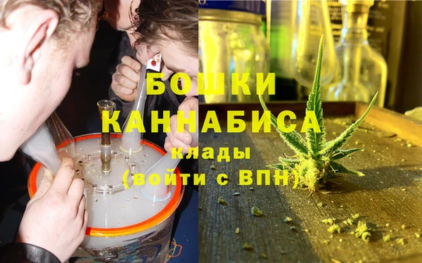 дурь Горно-Алтайск