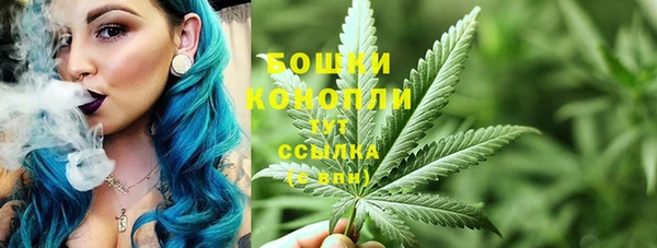 дурь Горно-Алтайск