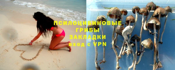 ешки Вязьма