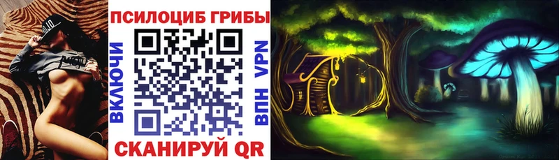 Псилоцибиновые грибы Magic Shrooms  Воронеж 